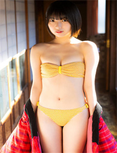 《野花香在线观看播放》