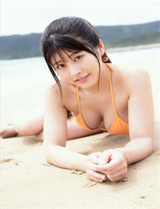 《赘婿电视剧免费播放》