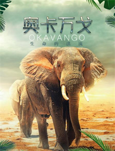 非常四侠之杀手廿一