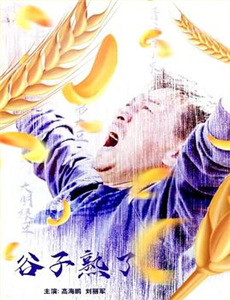 真爱不说谎南非篇